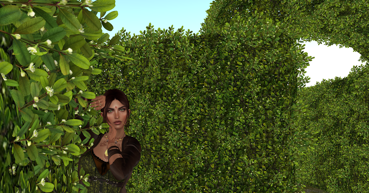 Nasrin's Tale: Doors and Hedges Galore!