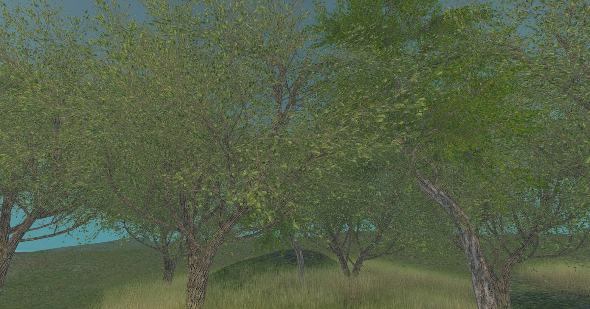 At Home with Aerlinniel: Late Summer Grove