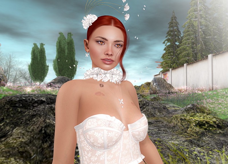 Lex # 4868 – Lexo Merlin