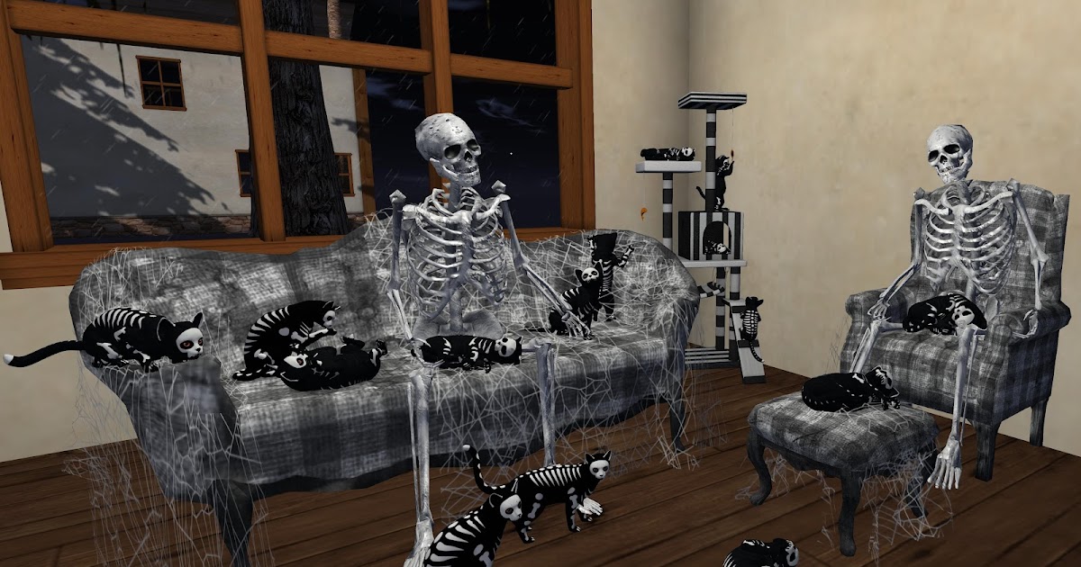 At Home with Aerlinniel: Waiting a Long Time for the Cats to Calm Down