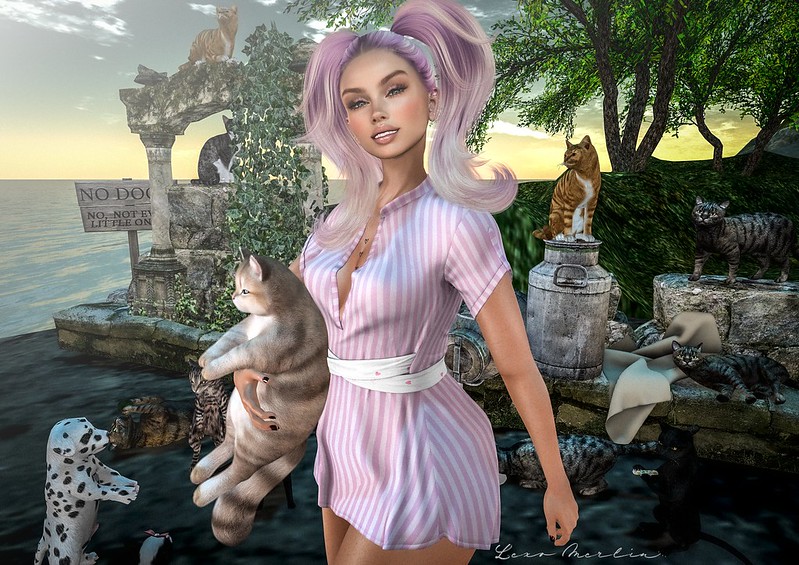 Lex # 5395 – Lexo Merlin