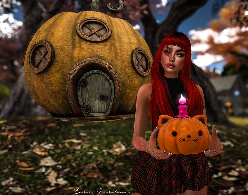 Lex # 5425 – Lexo Merlin