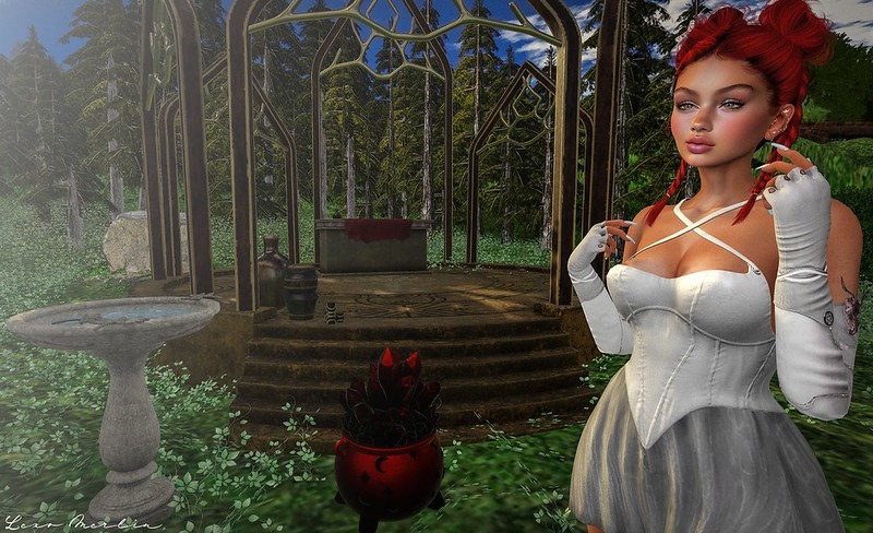 Lex # 5500 – Lexo Merlin